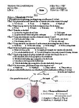 Đề kiểm tra một tiết Sinh học lớp 6 - Đề 2 - Năm học 2016-2017 - Trường THCS Ngũ Phụng